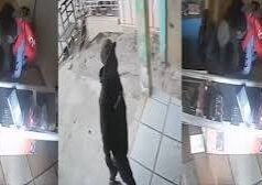 One killed, another critically injured in armed robbery attack on momo vendor at Fiapre