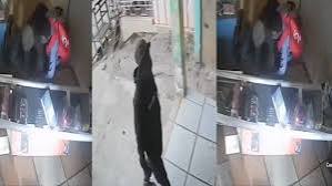 One killed, another critically injured in armed robbery attack on momo vendor at Fiapre
